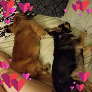 Meet your Posher, Connie